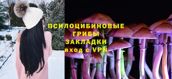 ГАЛЛЮЦИНОГЕННЫЕ ГРИБЫ Майский