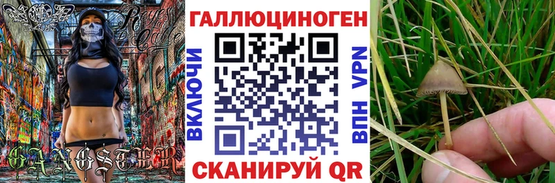Псилоцибиновые грибы MAGIC MUSHROOMS  Электросталь 